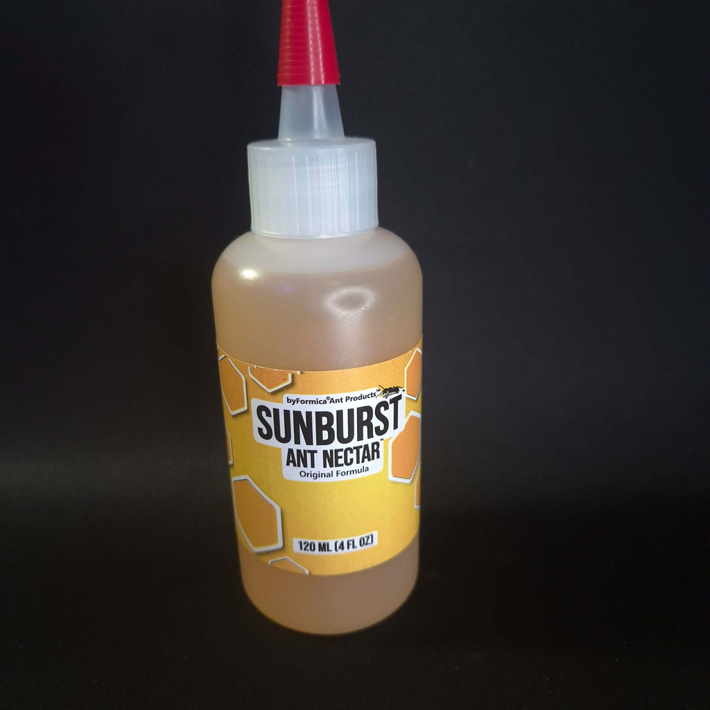 SUNBURST Nectar de fourmis