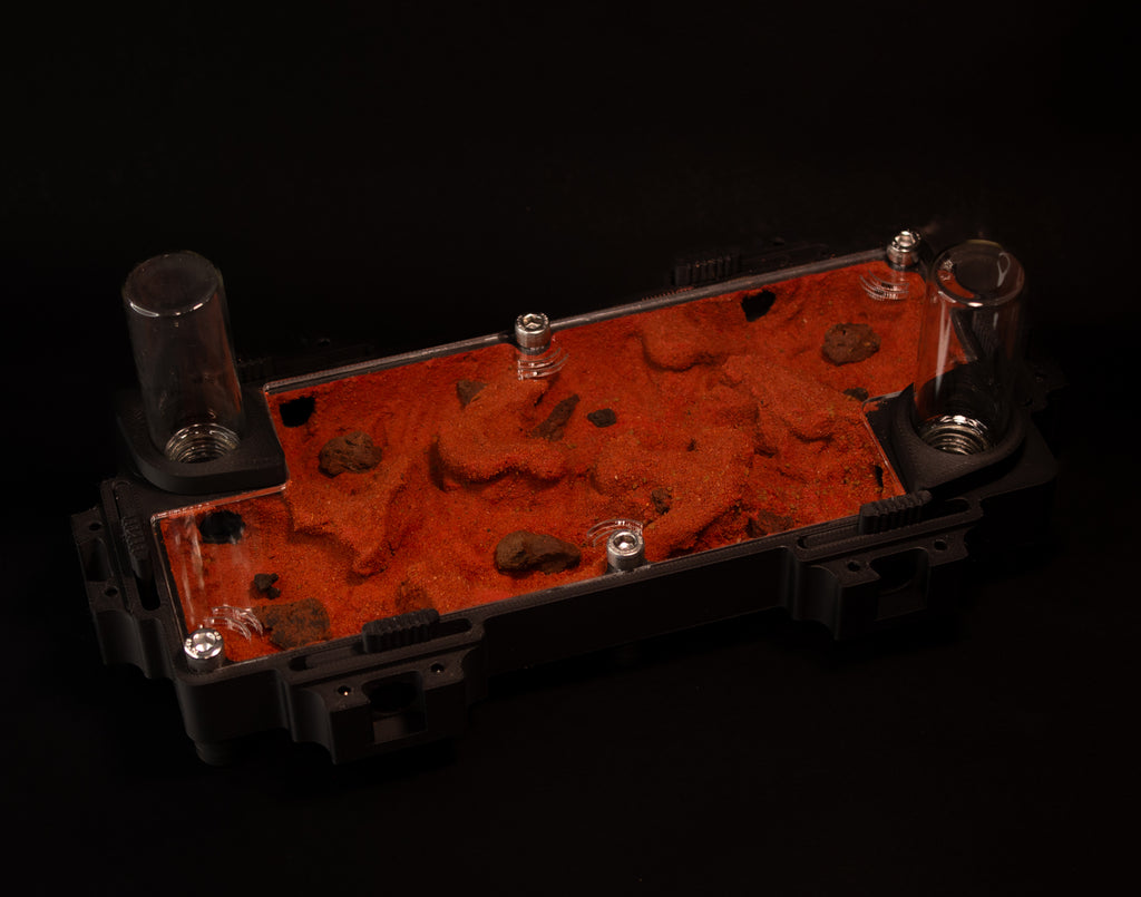 Fourmilière Terra L