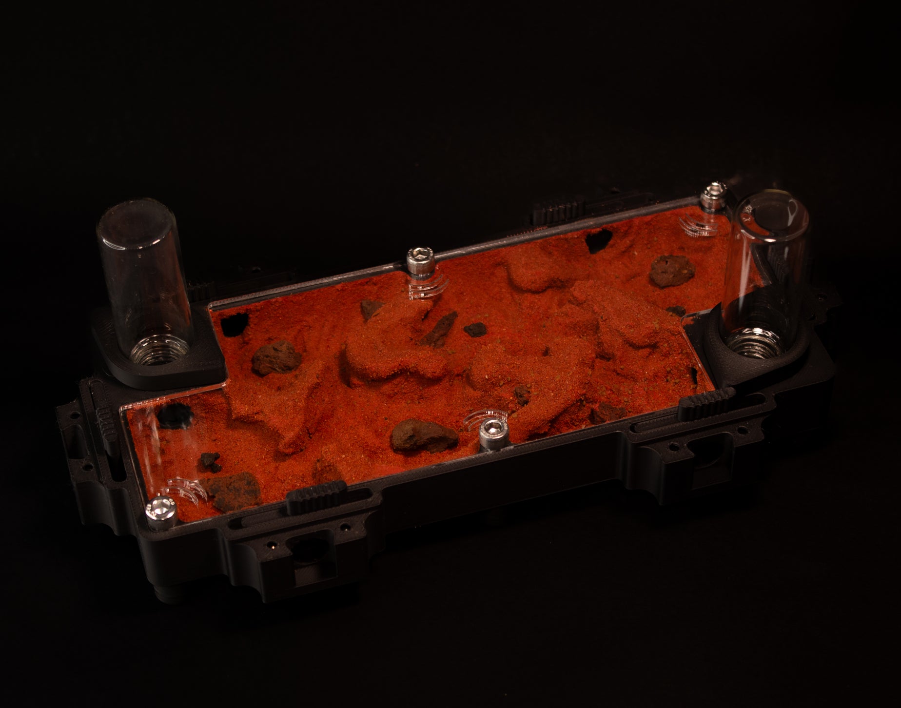 Fourmilière Terra L