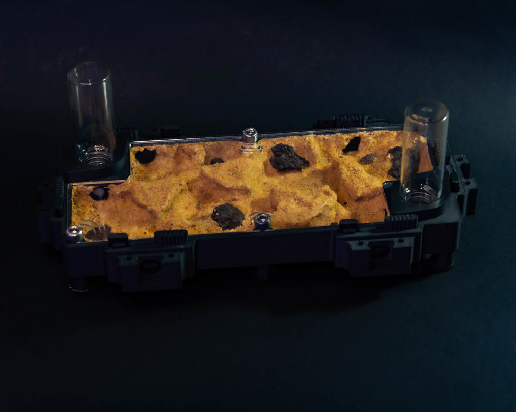 Fourmilière Terra L