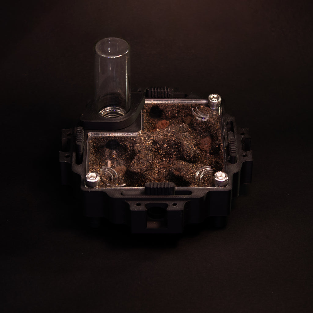 Fourmilière Terra M