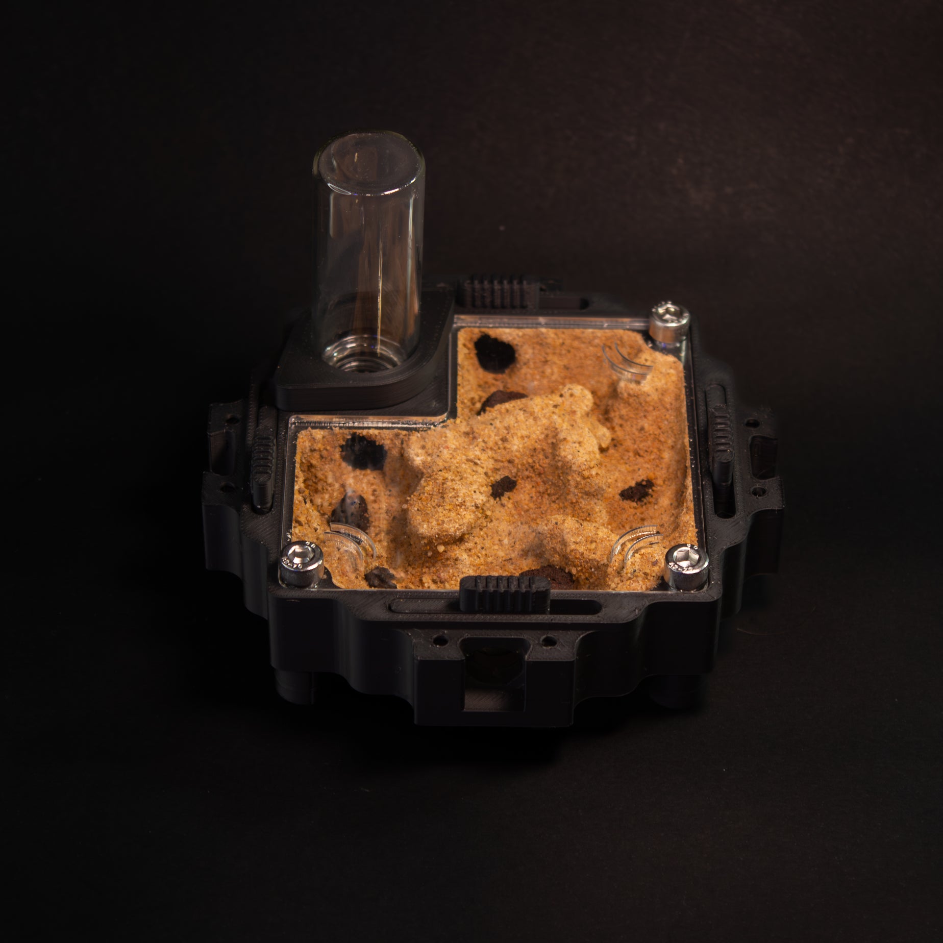 Fourmilière Terra M