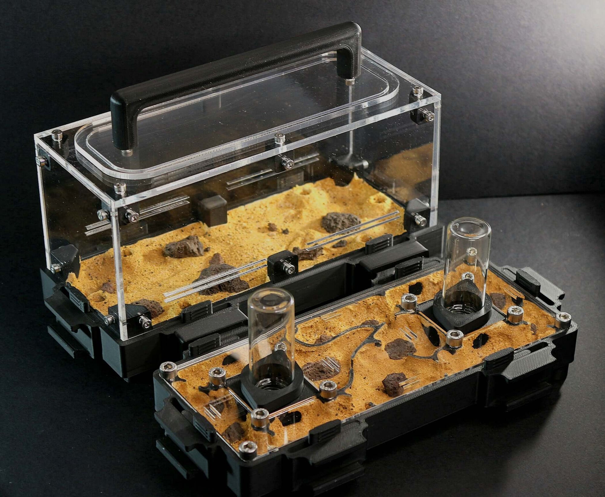 Terra L Anthill Kit