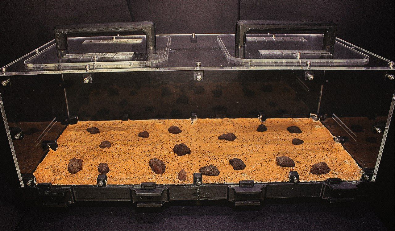 Forrajeo Terra XXL