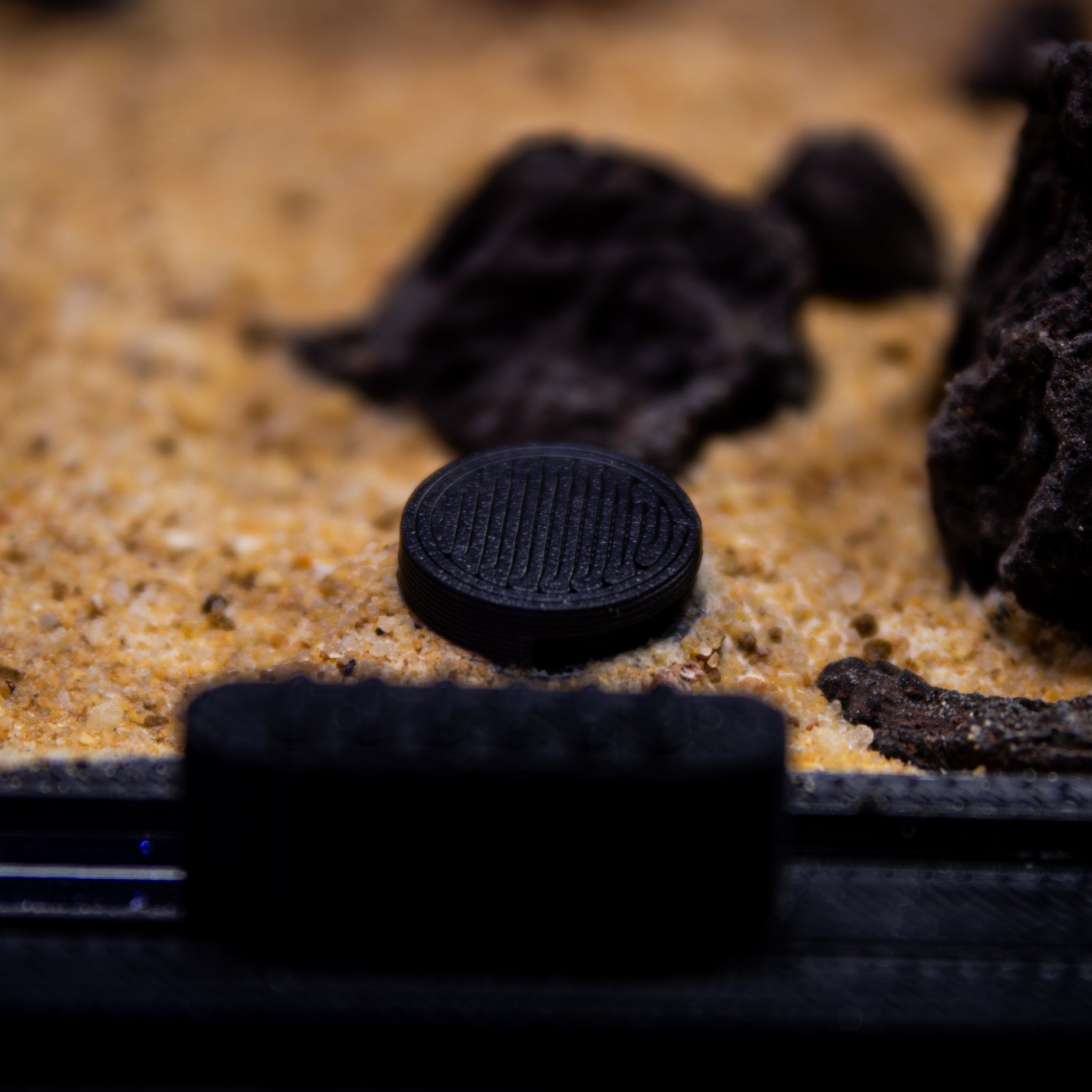 bouchon de cueillette