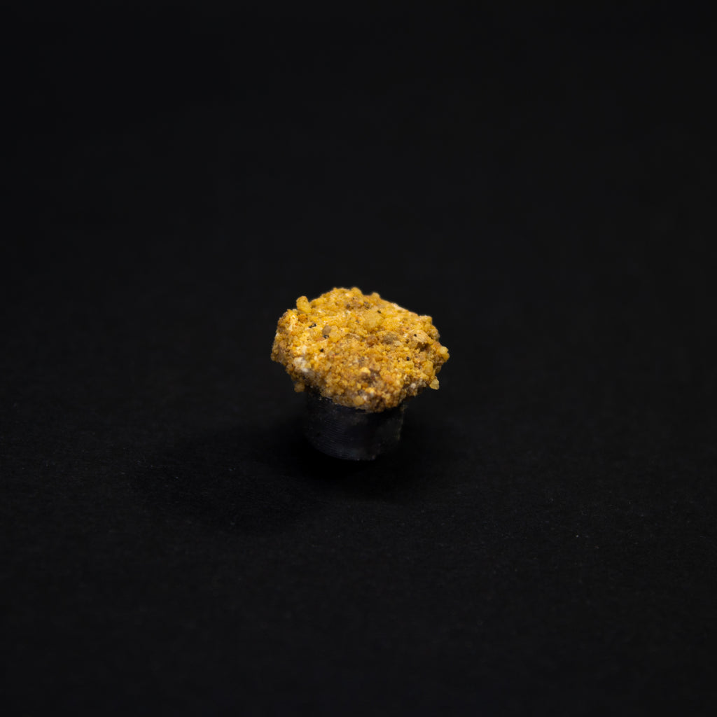 bouchon de cueillette