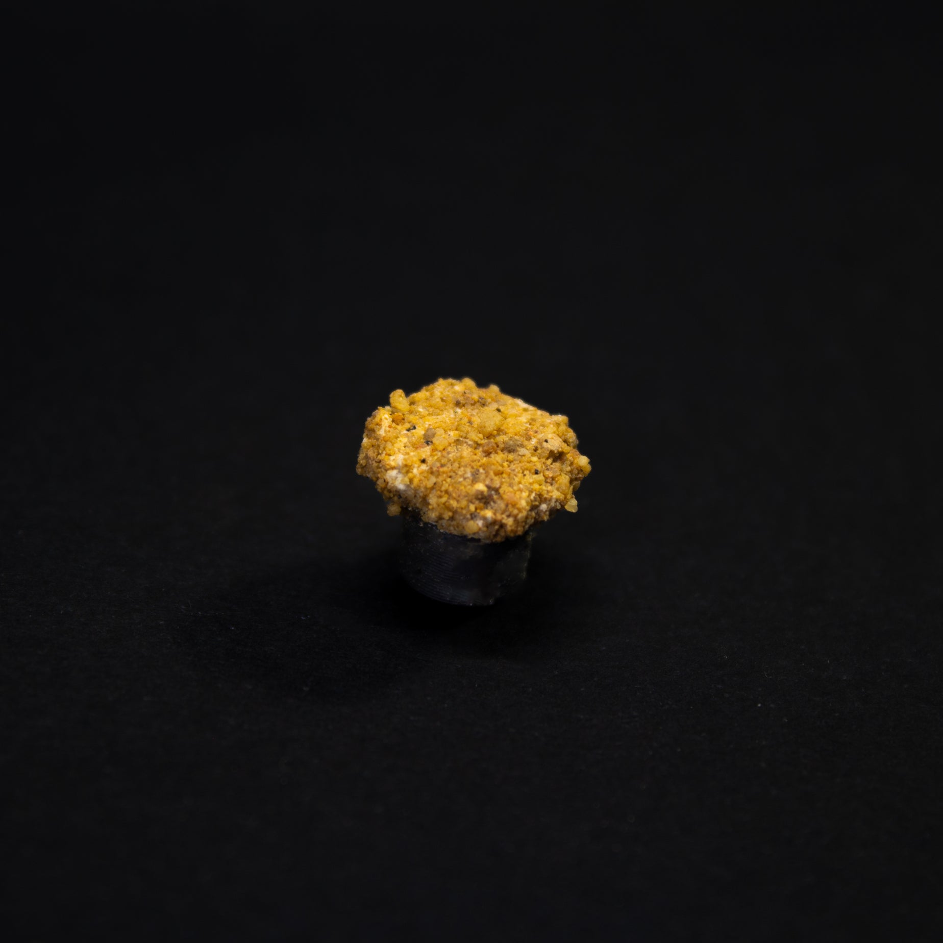 bouchon de cueillette