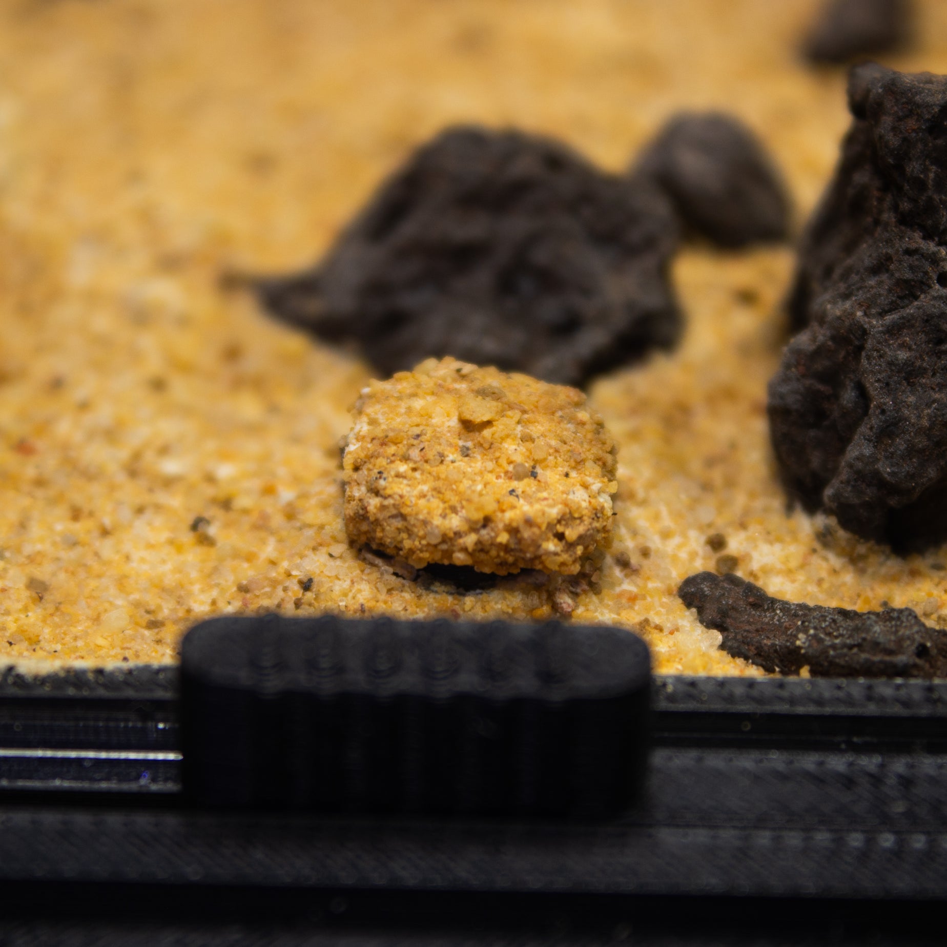 bouchon de cueillette